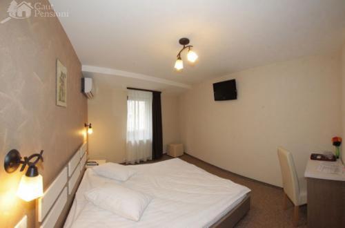 Pension Cleopatra Targu Mures Exterior photo